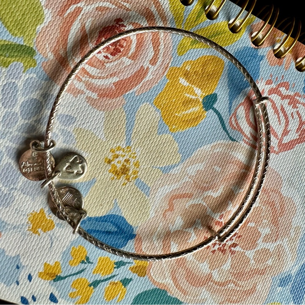 Alex and Ani Silver Band Bracelet